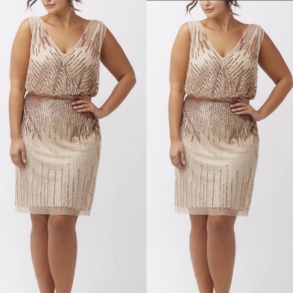 14W-24W Adrianna Papell Woman Size beaded dress - Picture 4 of 14